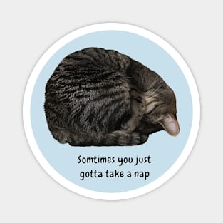 Take a Nap (kitty) Magnet